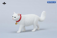1/6 Scale chinese Rural Cat Version C