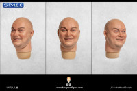 1/6 Scale smiling Jaroslaw Head Sculpt