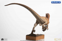 Male Velociraptor Maquette (The Lost World: Jurassic Park)