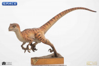 Male Velociraptor Maquette (The Lost World: Jurassic Park)