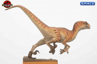 Male Velociraptor Maquette (The Lost World: Jurassic Park)