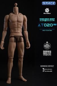 1/6 Scale Universal Body AT020 Pro