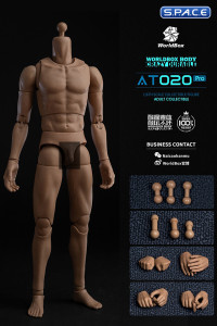 1/6 Scale Universal Body AT020 Pro