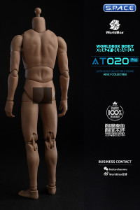 1/6 Scale Universal Body AT020 Pro