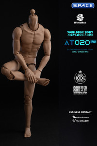 1/6 Scale Universal Body AT020 Pro