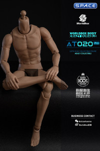 1/6 Scale Universal Body AT020 Pro