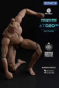 1/6 Scale Universal Body AT020 Pro