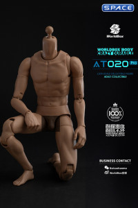 1/6 Scale Universal Body AT020 Pro