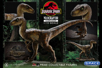 1/10 Scale Velociraptor Prime Collectible Figures Statue - closed Mouth Version (Jurassic Park)