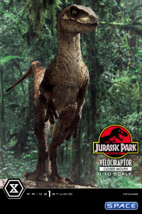 1/10 Scale Velociraptor Prime Collectible Figures Statue - closed Mouth Version (Jurassic Park)