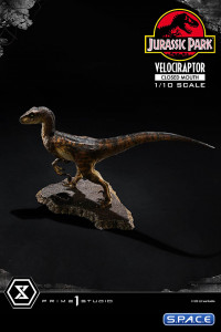 1/10 Scale Velociraptor Prime Collectible Figures Statue - closed Mouth Version (Jurassic Park)