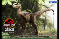 1/10 Scale Velociraptor Prime Collectible Figures Statue - closed Mouth Version (Jurassic Park)