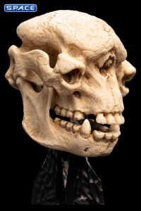 Skull of a Cave Troll (Lord of the Rings)