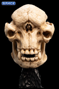 Skull of a Cave Troll (Lord of the Rings)