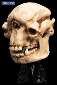 Skull of a Cave Troll (Lord of the Rings)