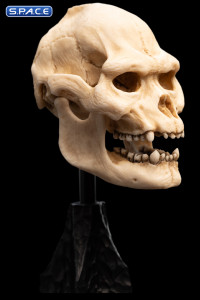 Skull of Lurtz (Lord of the Rings)