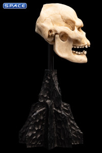 Skull of Lurtz (Lord of the Rings)