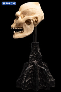 Skull of Lurtz (Lord of the Rings)