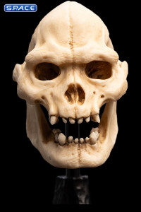 Skull of Lurtz (Lord of the Rings)