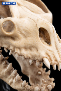 Skull of a Fell Beast (Lord of the Rings)