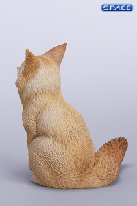 1/6 Scale Fox Version A