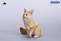 1/6 Scale Fox Version A