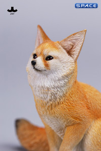 1/6 Scale Fox Version C