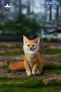 1/6 Scale Fox Version C