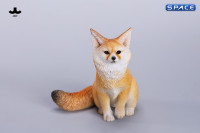 1/6 Scale Fox Version C