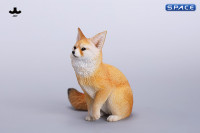 1/6 Scale Fox Version C