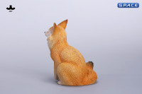 1/6 Scale Fox Version C