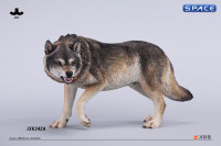 1/6 Scale Dire Wolf Version A