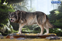 1/6 Scale Dire Wolf Version A