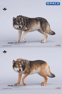 1/6 Scale Dire Wolf Version A