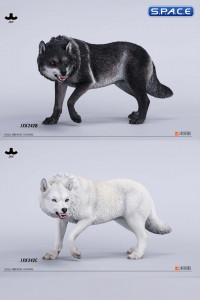 1/6 Scale Dire Wolf Version A