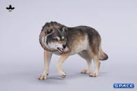 1/6 Scale Dire Wolf Version A