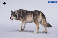 1/6 Scale Dire Wolf Version A