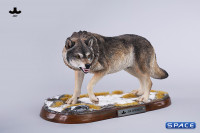 1/6 Scale Dire Wolf Version A