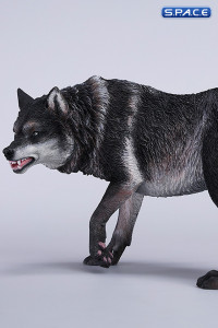 1/6 Scale Dire Wolf Version B