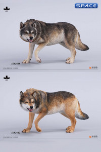 1/6 Scale Dire Wolf Version B