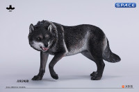 1/6 Scale Dire Wolf Version B