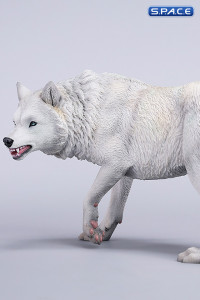 1/6 Scale Dire Wolf Version C