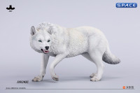 1/6 Scale Dire Wolf Version C