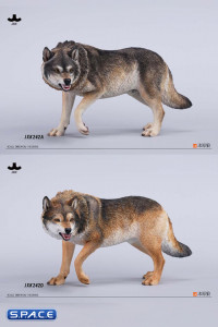 1/6 Scale Dire Wolf Version C