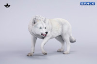 1/6 Scale Dire Wolf Version C