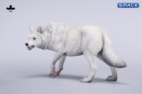 1/6 Scale Dire Wolf Version C