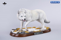 1/6 Scale Dire Wolf Version C