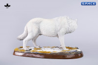 1/6 Scale Dire Wolf Version C