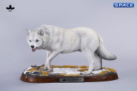 1/6 Scale Dire Wolf Version C