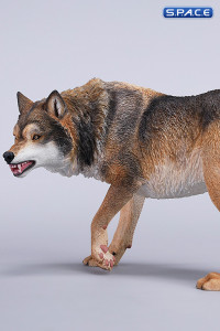 1/6 Scale Dire Wolf Version D